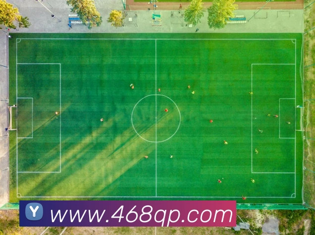 App界面